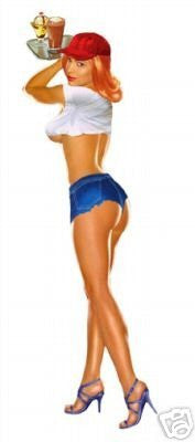 Sexy Hot Girl - Truck Stop Waitress Babe 16x36 inch