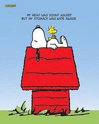 SNOOPY POSTER Head Wide Asleep - Stomach Wide Awake NEW