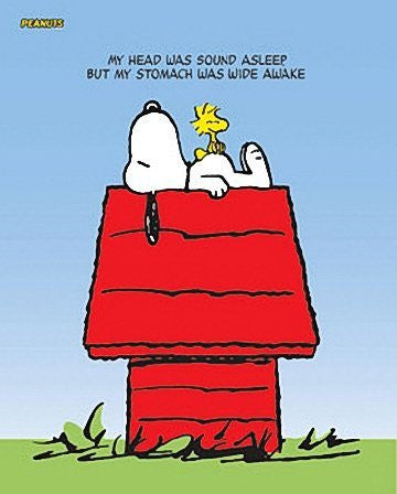 SNOOPY POSTER Head Wide Asleep - Stomach Wide Awake NEW