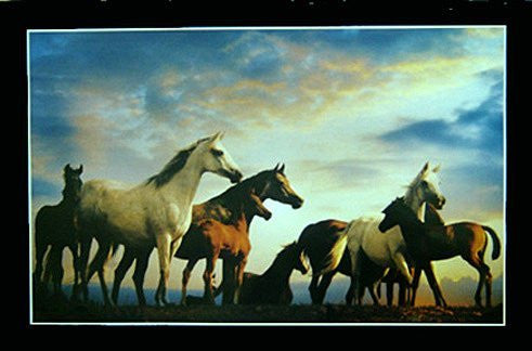 WILD HORSES POSTER - MOTIVATIONAL - 24X36 ART PRINT