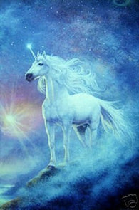 Unicorn Fantasy - New 24x36 Poster -Rare Astral Print