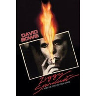 DAVID BOWIE POSTER Ziggy Stardust RARE HOT NEW 24x36