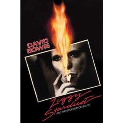 DAVID BOWIE POSTER Ziggy Stardust RARE HOT NEW 24x36