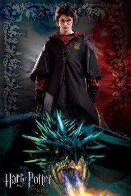 HARRY POTTER POSTER The Goblet of Fire RARE NEW 24x36