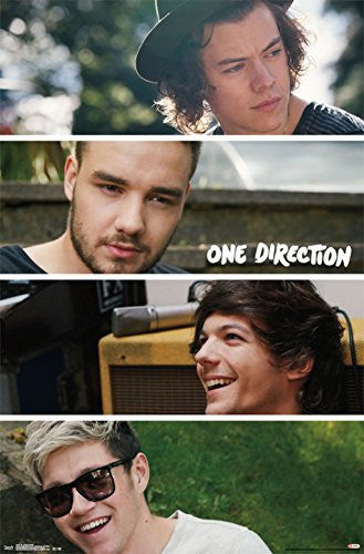 One Direction- Group Collage Poster 22 x 34in