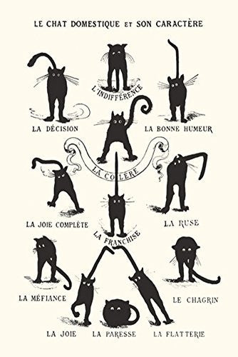 Le Chat Domestique Poster 24 x 36in