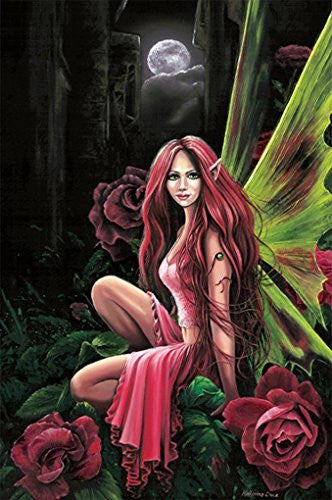 FAIRY POSTER Moonlight - Fairies RARE HOT NEW 24x36