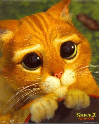 Shrek 2 Movie Poster Puss in Boots Cute Cat Face