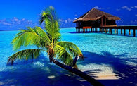 TROPICAL PARADISE POSTER Amazing Beach and Palm Tree and Ocean Home Shot RARE HOT NEW 24x36