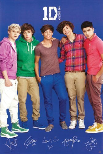 ONE DIRECTION POSTER 1 Group Shot 3 RARE HOT NEW 24x36