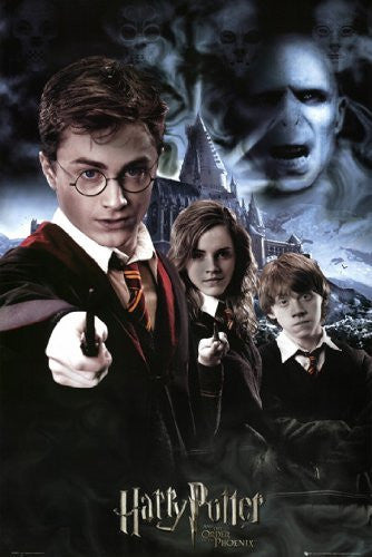 HARRY POTTER POSTER Order of the Phoenix RARE NEW 24X36
