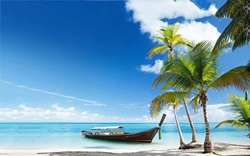 TROPICAL PARADISE POSTER Canoe on the Beach 2 RARE HOT NEW 24x36