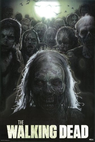 THE WALKING DEAD POSTER Scarry RARE HOT NEW 24x36