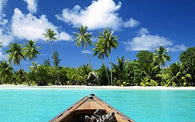 TROPICAL PARADISE POSTER Canoeing to Beach 1 RARE HOT NEW 24x36