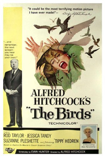 The Birds Movie Poster Alfred Hitchcock