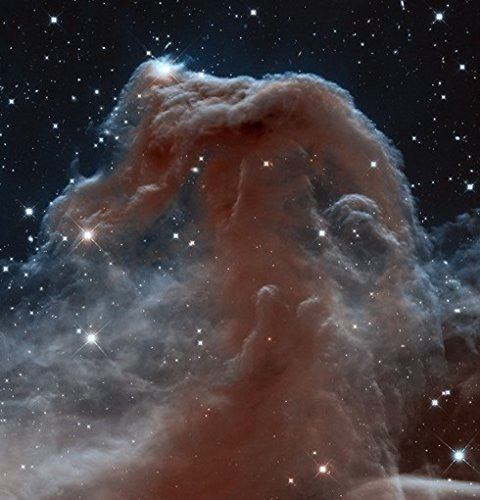 HORSEHEAD NEBULA POSTER Space Astrology - Amazing Nasa Hubble Telescope Shot RARE HOT NEW 24x25