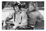 DUMB and DUMBER POSTER Funny Hilarious RARE HOT NEW 24x36