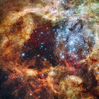TARANTULA NEBULA POSTER Space Astrology - Amazing Nasa Hubble Telescope Shot RARE HOT NEW 24x24